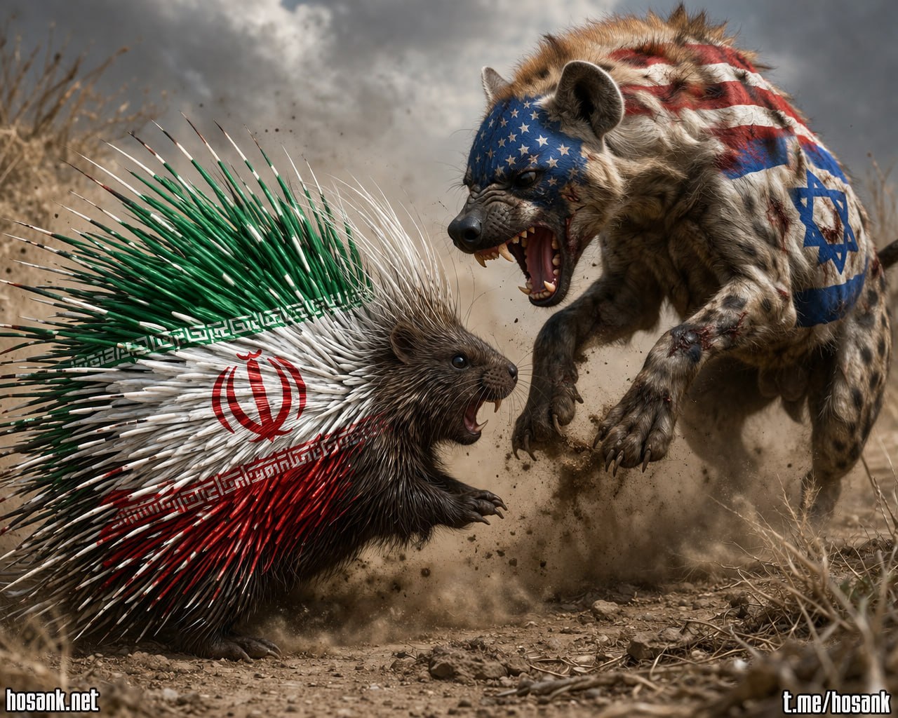This war in the Middle East, ignited by the international hyenas...