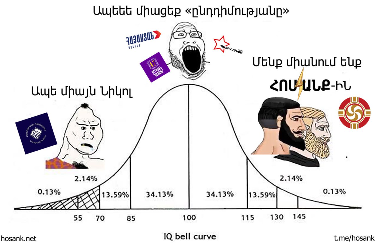 Սա ամենալավ գծագիրն է մարդու ինտելեկտի գործակիցը չափելու համար...