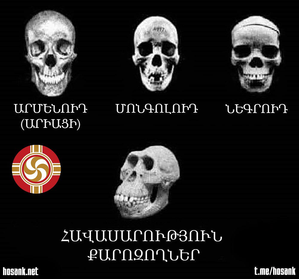 Բնության մեջ չկա հավասարություն ու երբեք չի կարող լինել, քանի որ հավասարությունը ոչնչացնում է բնության ստեղծած հենց հրաշալի բազմազանությունը...