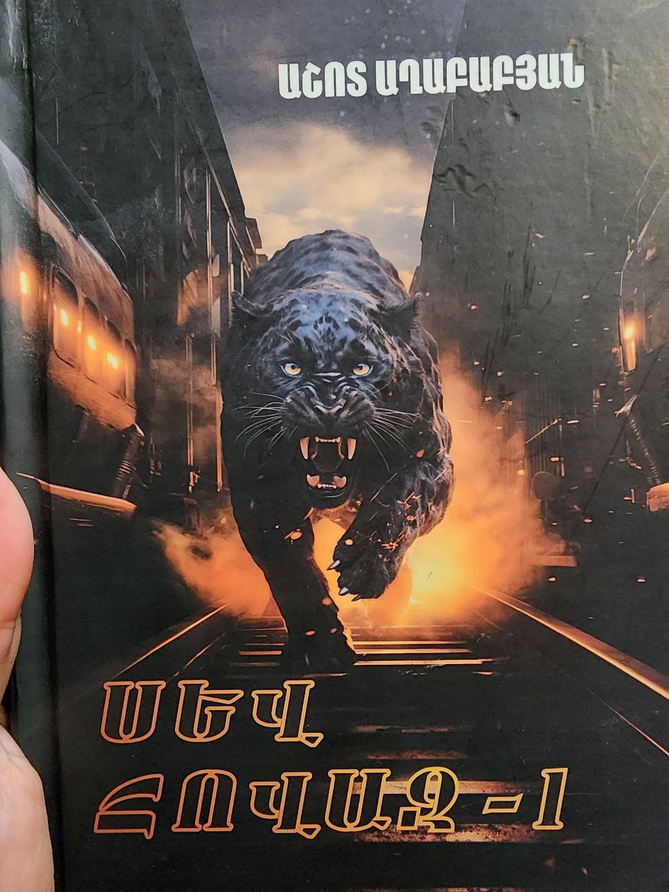 Անդրանիկ անունով մի տղաամարդ է լինում, ով 1990-ականներին Երևանում իր մարտական ընկերների հետ մի մեծ խնջույքի ժամանակ պատմում է, թե ինչպես ինքն ու իր եղբայրը տարիներ առաջ փորձում էին ԱՍԱԼԱ-ի անդամ դառնալ...