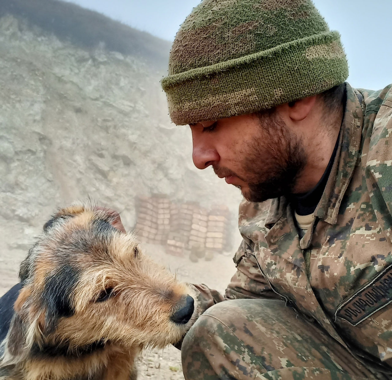 Մարդու ամենալավ ընկերը դիրքերում էլ է ամենալավ ընկերը լինում....