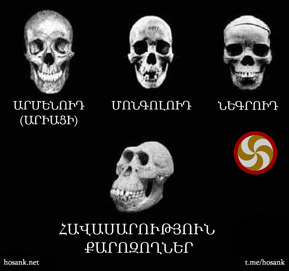 Սա գիտական փաստ է, հատկապես վերջին գանգը...